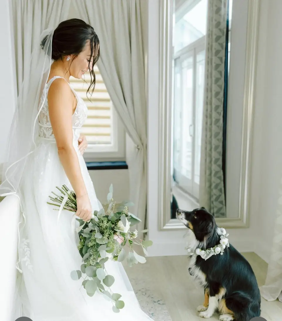 dog friendly wedding venue dog friendly wedding venue